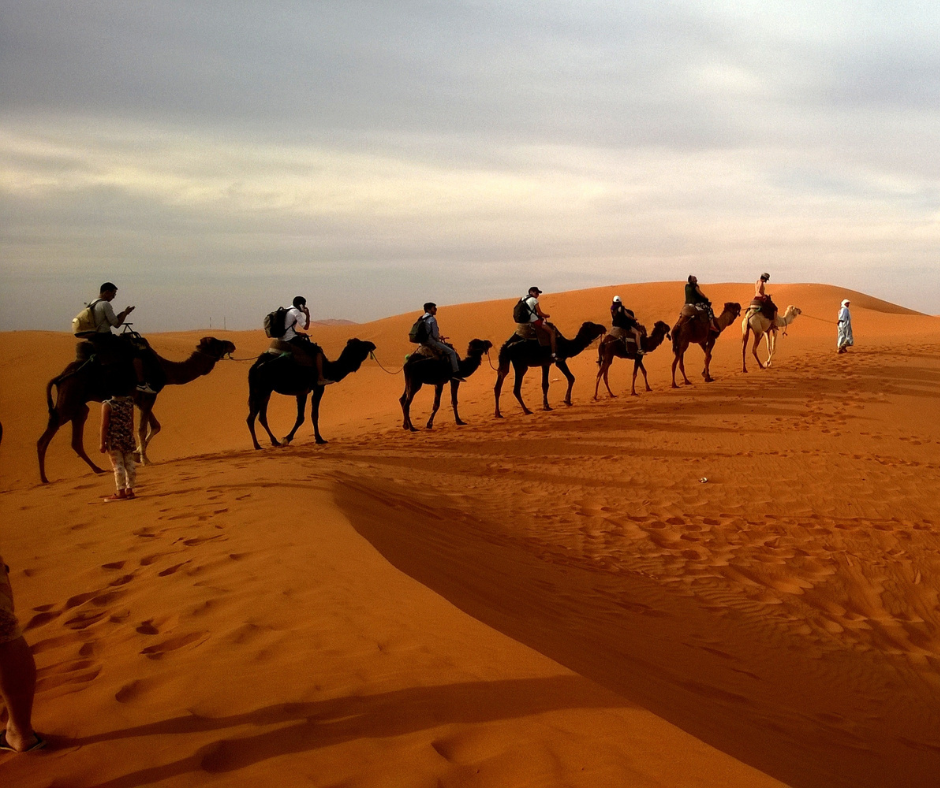 camels leadership retreat uae